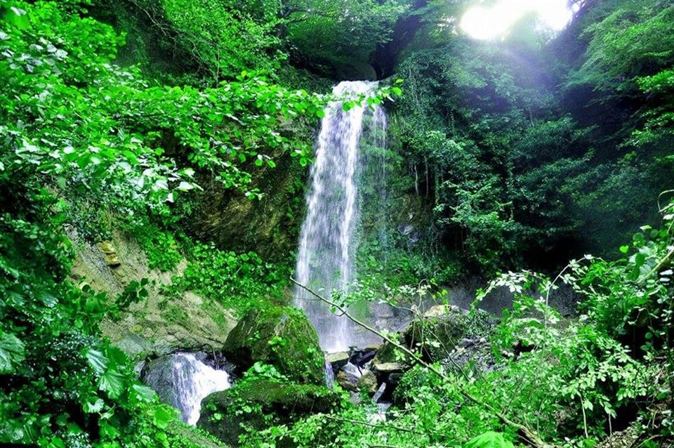 Salıpazarı ve Samsun Şelaleleri Doğanın Kalbinde Gizli Cennetler Rehberi